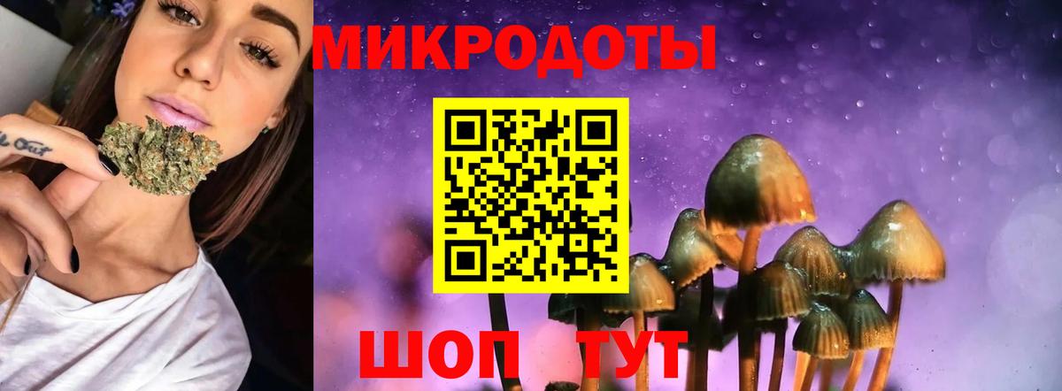 Пугачёв  Галлюциногенные грибы Psilocybe  Вход с VPN 